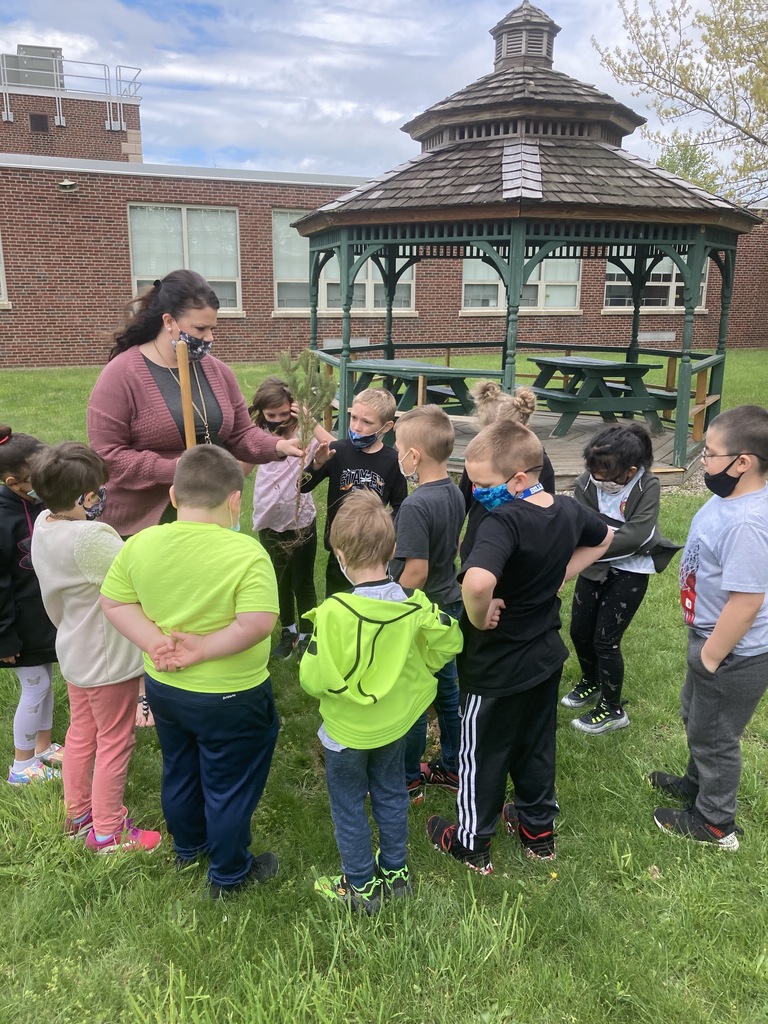 Arbor Day seedling planting with Mrs Zambotti's class