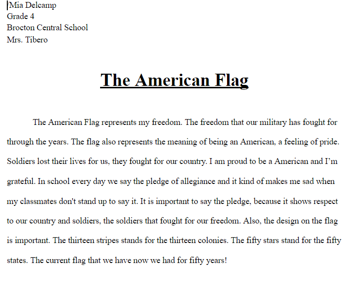 Mia Delcamp's Flag Essay