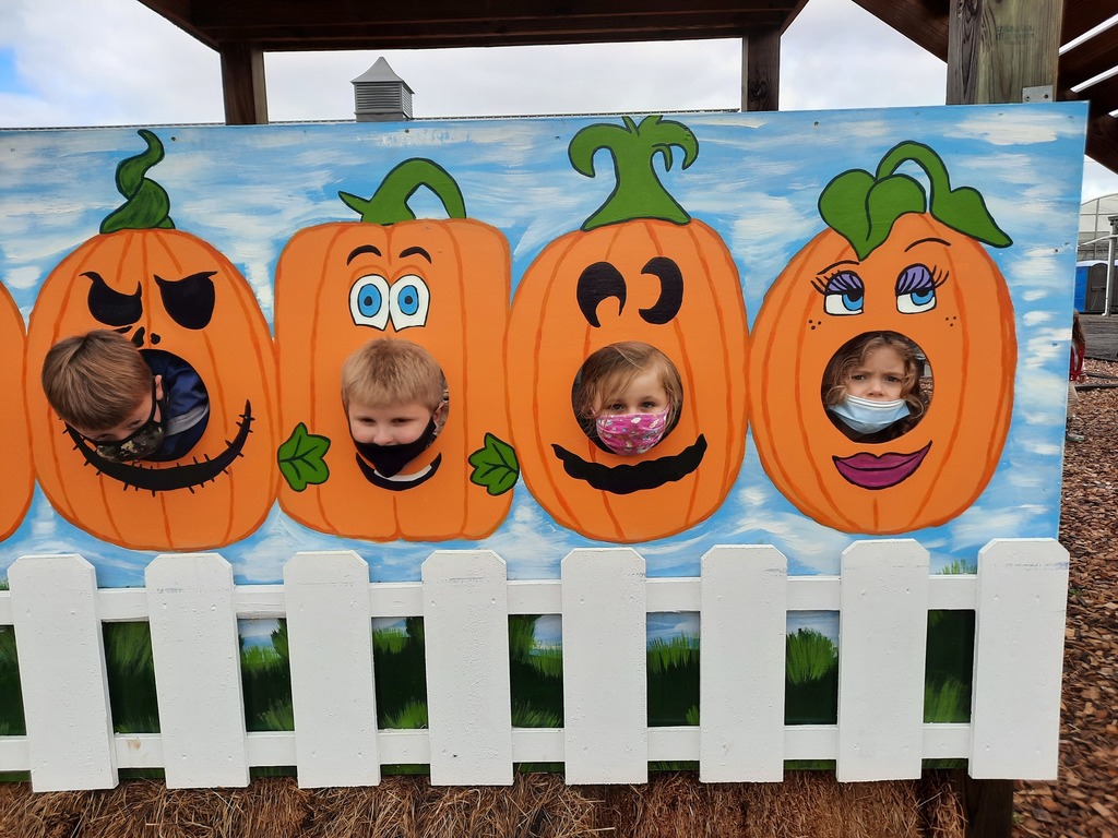 4 little pumpkins in Ms. Tye and Mrs. Marczynski's class