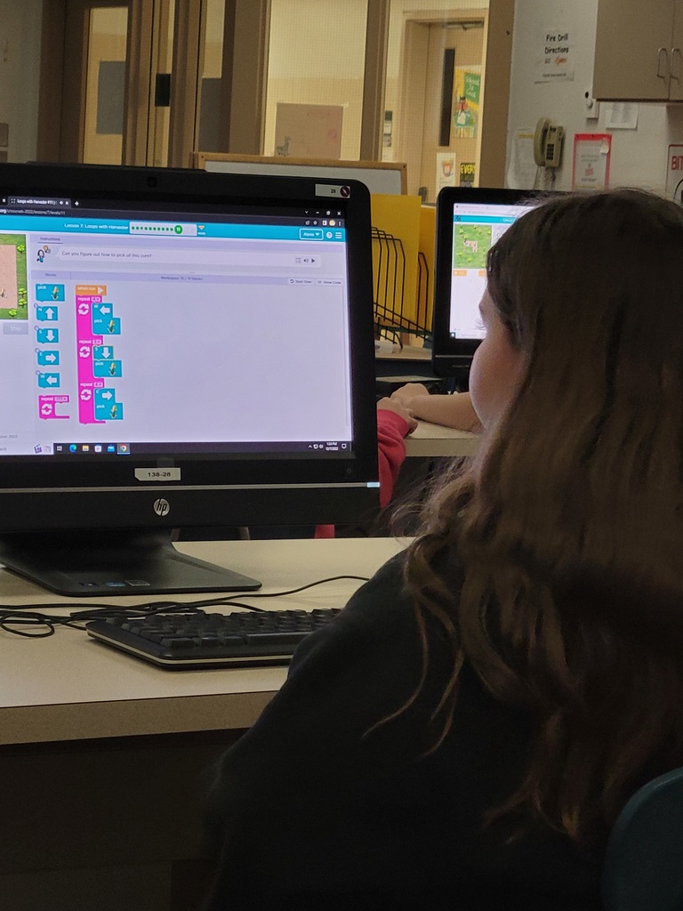 Girl using computer coding loops.