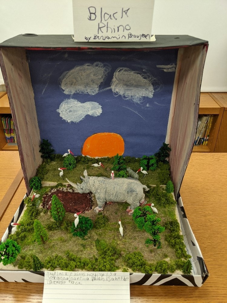 Fourth Grade Endangered Animal Diorama Projects | Brocton Central ...